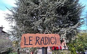 Le Radici